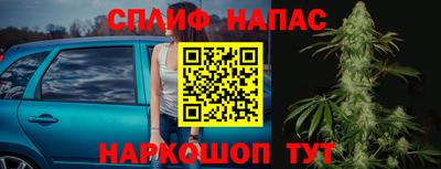 дживик Моздок