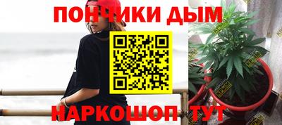 дживик Моздок