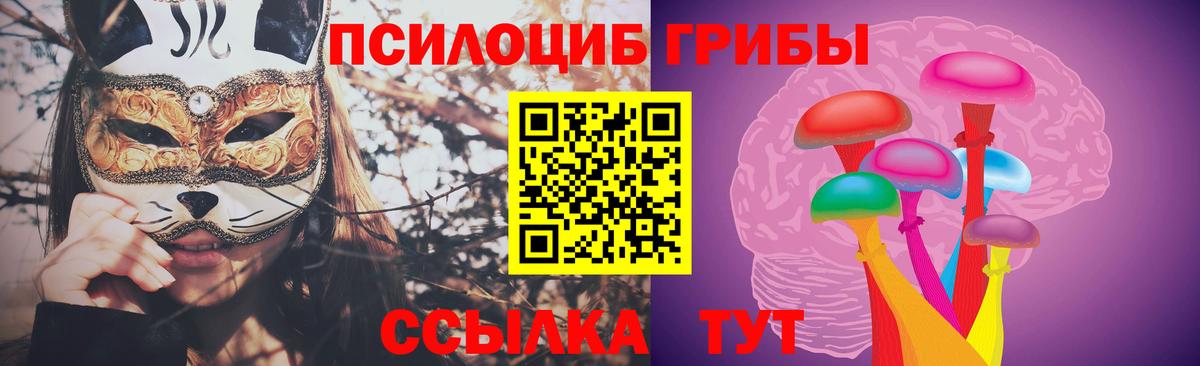 Псилоцибиновые грибы Psilocybine cubensis Бор